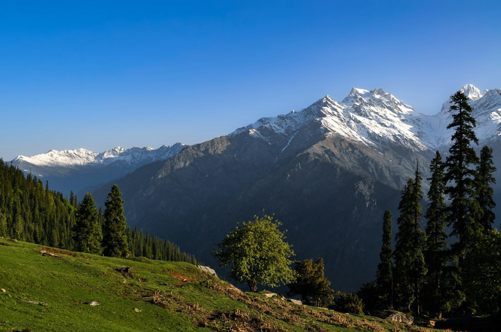Snow-covered Himalayan peaks and a green meadow near Kasol, Himachal Pradesh